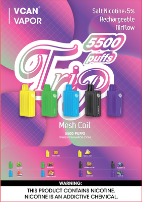 De Elektronische Sigaret 5500puffs van Mesh Coil Bottom Airflow Disposable van het Vcanmerk